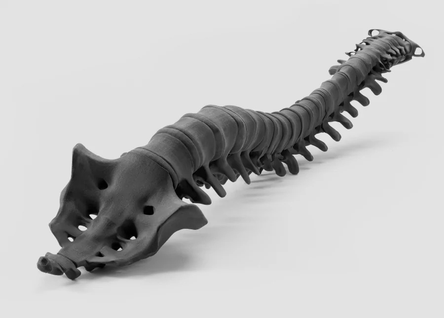 Modelo anatômico de coluna vertebral com sacro impresso em SLS na Sinterit Lisa X, sem suporte